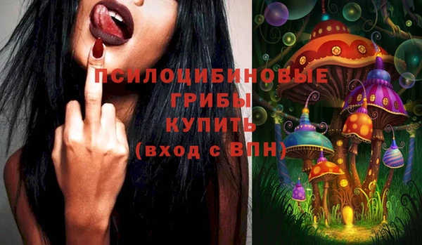 spice Алзамай