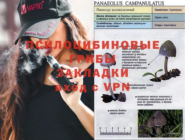 прущая мука Рославль