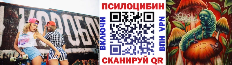 Галлюциногенные грибы Psilocybine cubensis  Купить  Большой Камень 